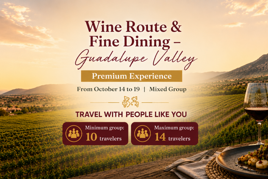 Wine Route Valle de Guadalupe