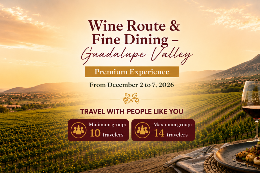 Wine Route Valle de Guadalupe